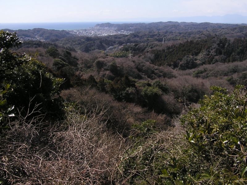 天園 -- これが紅葉で名高い獅子舞の谷
