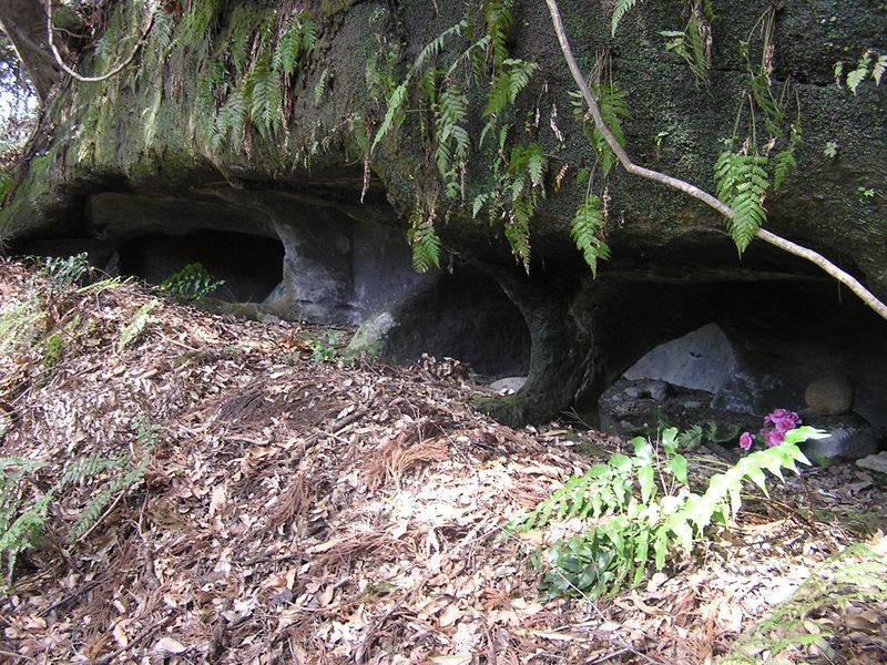 天園 -- 北條家御一門にゆかりの横穴式やぐら