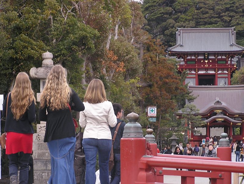 天園 -- 鶴岡八幡宮