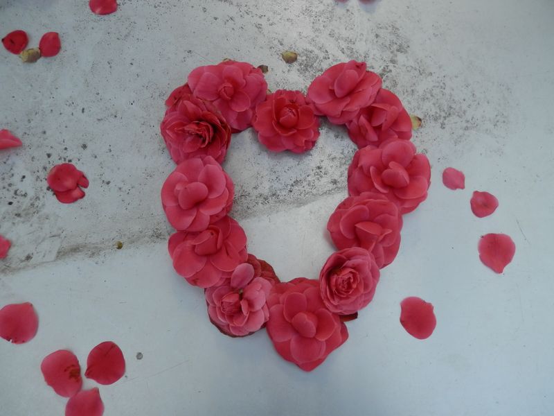 白丸駅の椿の花を誰かが並べてあった