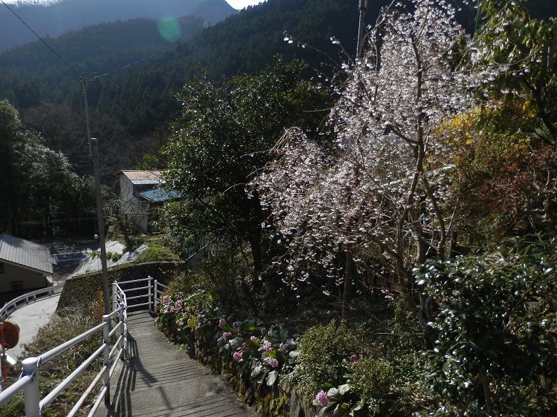 白丸駅から青梅街道に下りる小路