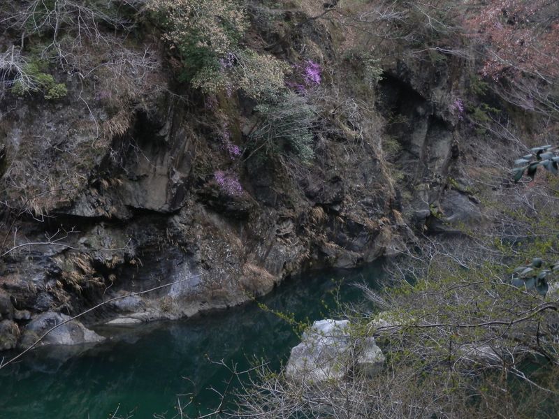 多摩川左岸の絶壁を見る