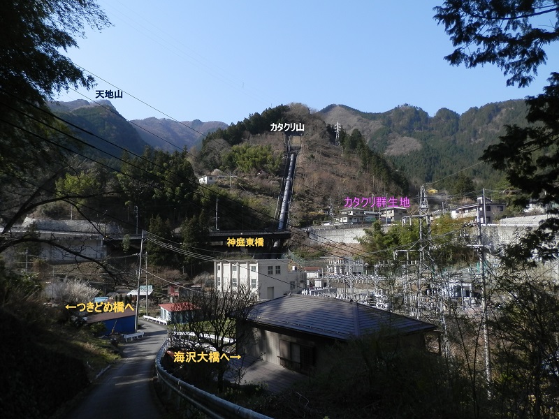 水圧管の通る山が、カタクリ山