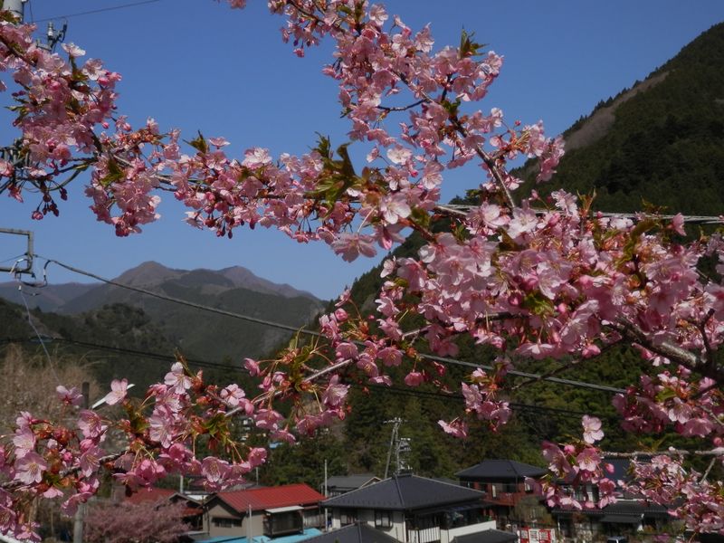 石尾根の三ノ木戸山だろうか