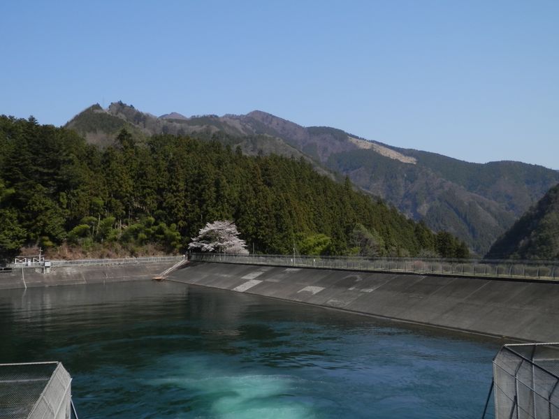 本仁田山のゴンザス尾根と花折戸尾根