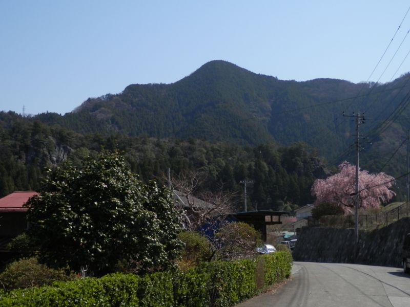 中野集落から望む、鳩ノ巣城山