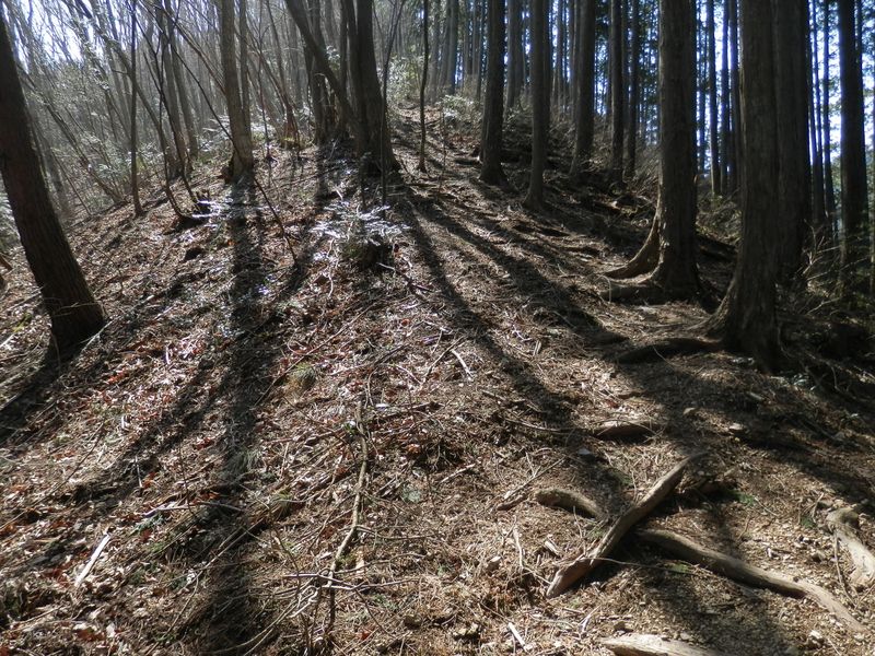 天地山 -- かなり急な尾根