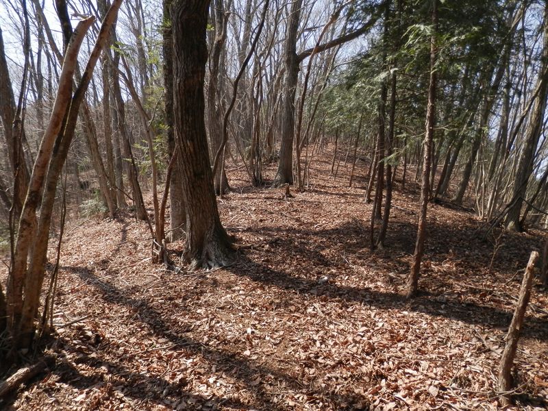 ここは明るい部分