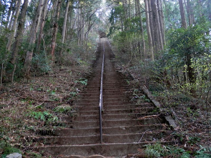愛宕神社参道の石段