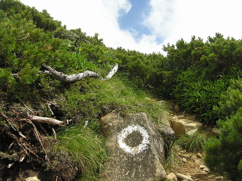 天狗岳 -- 西天狗山頂まであと１分