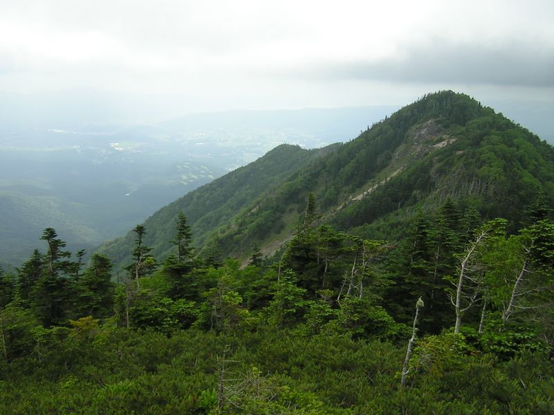 天狗岳 -- 西尾根を望む。手前は2510ｍの等高線を越えるピーク