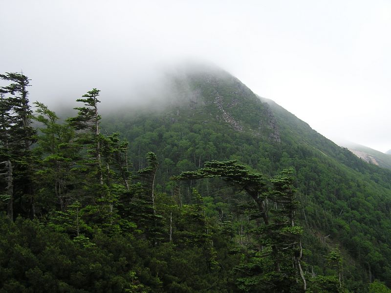 天狗岳 -- 第二展望台より、西天狗を振り返る