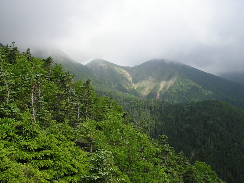 天狗岳 -- 第一展望台より、根石岳（中央）を望む。西天狗（左）は相変わらずガスの中