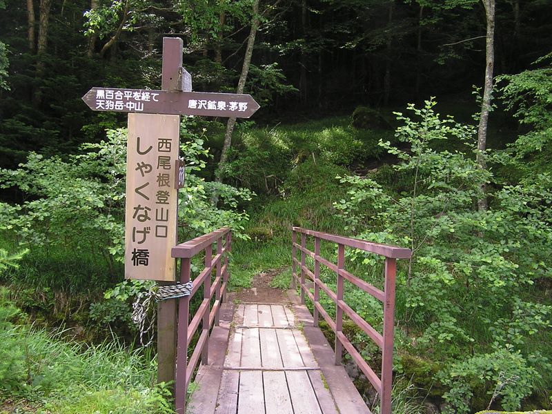 天狗岳 -- 唐沢に架かる「しゃくなげ橋」を渡る