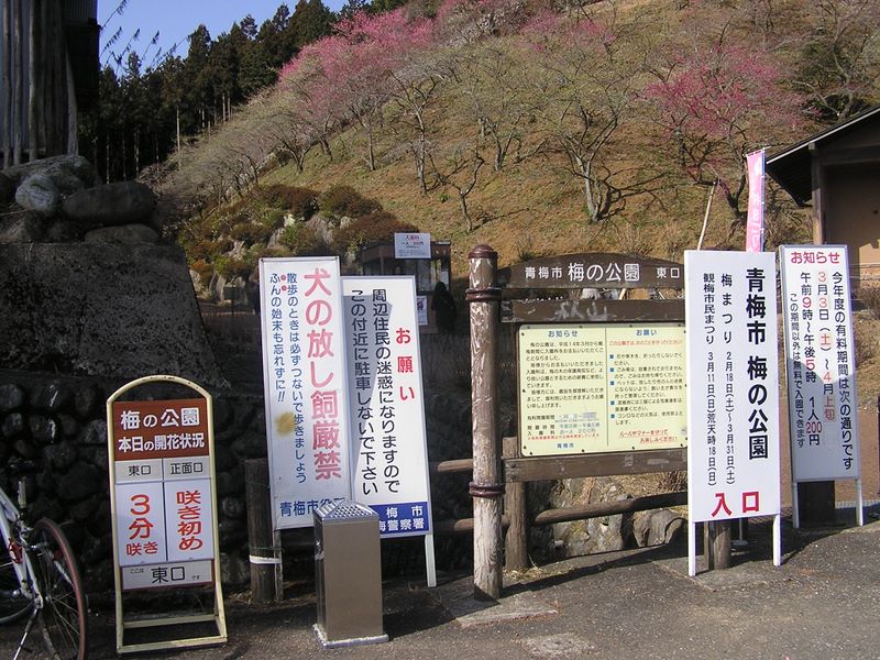 天狗岩・赤ぼっこ -- 梅まつりは3月31日までと書いてありますが？