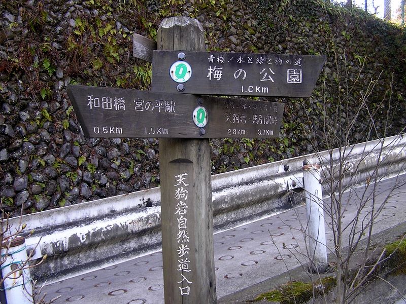 天狗岩・赤ぼっこ -- 天狗岩自然歩道入口から天狗岩まで2.8km