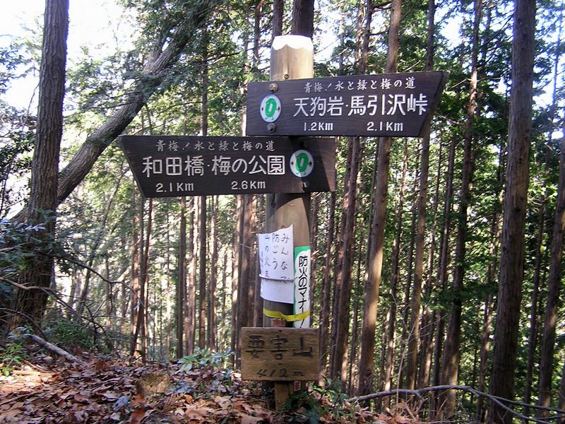 天狗岩・赤ぼっこ -- 要害山の頂上は展望が利かなかった