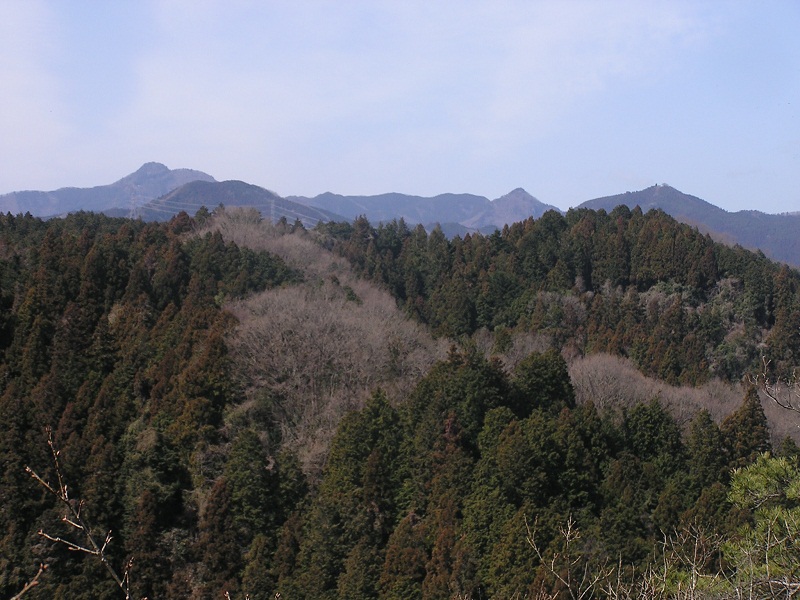 天狗岩・赤ぼっこ -- 天狗岩より望む、大岳山、御岳山