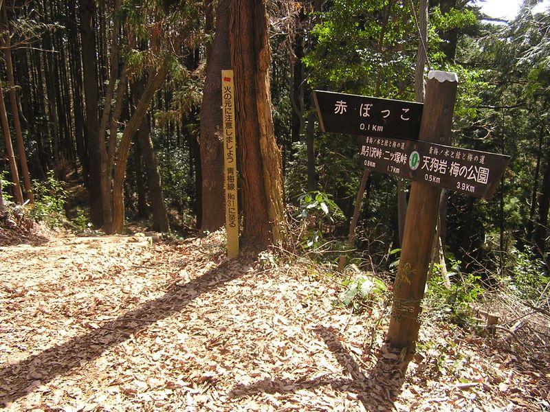 天狗岩・赤ぼっこ -- 赤ぼっこへの分岐