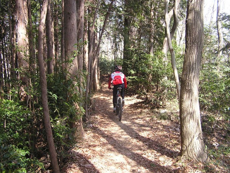 天狗岩・赤ぼっこ -- 背後からマウンテンバイクが
