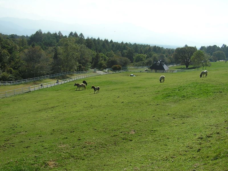 まきば公園・天女山 -- まきば公園のポニー広場