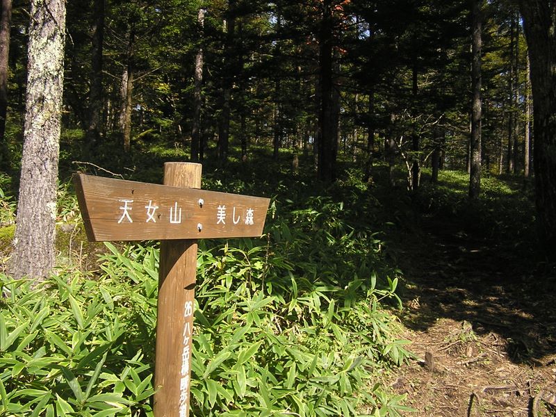 まきば公園・天女山 -- 車道を横断した直後