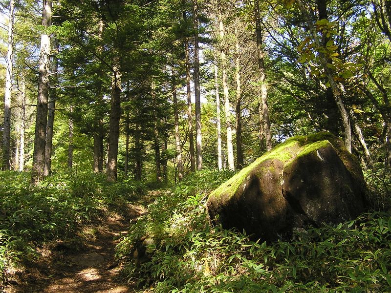 まきば公園・天女山 -- 大きな岩も