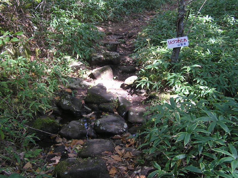 まきば公園・天女山 -- 飛び石