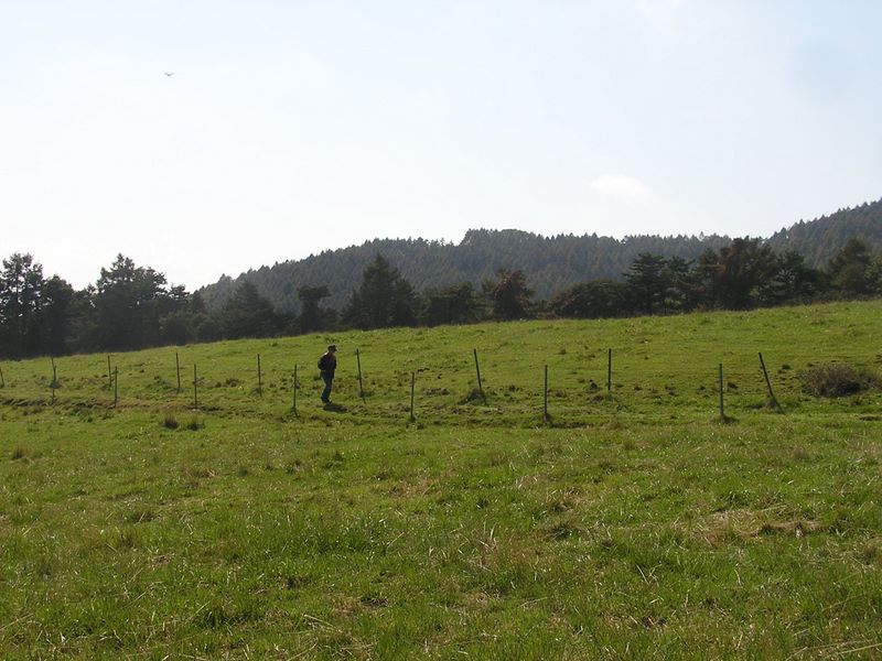 まきば公園・天女山 -- 天女山を振り返る