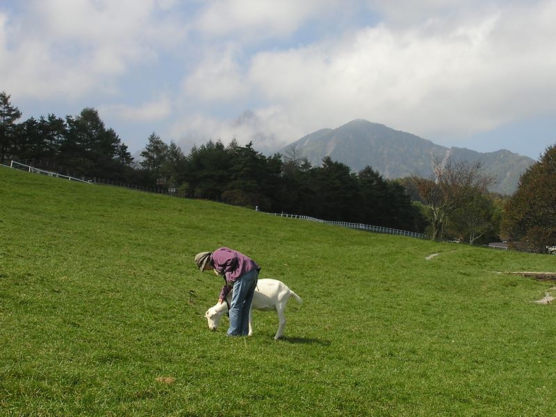 まきば公園・天女山 -- まきば公園の動物ふれあい広場