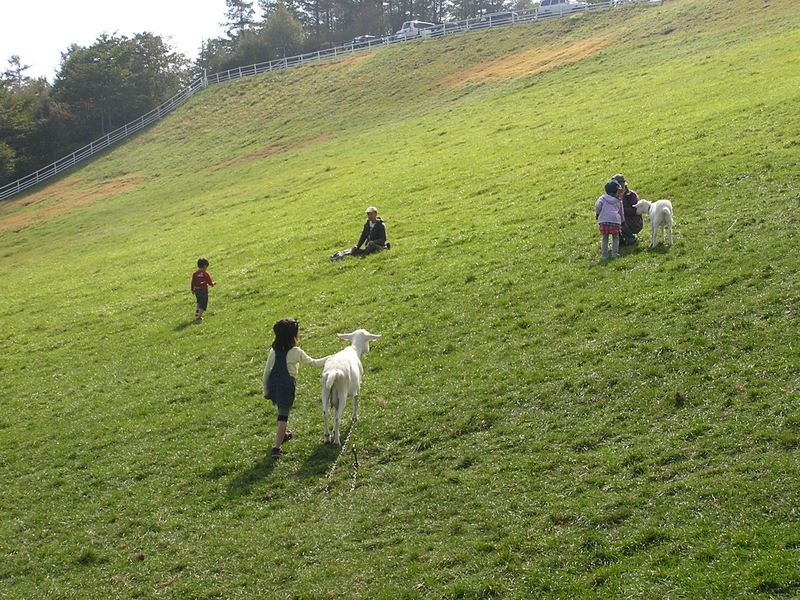 まきば公園・天女山 -- まきば公園の動物ふれあい広場