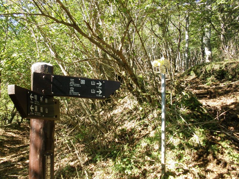 三国山へ本格的な登り