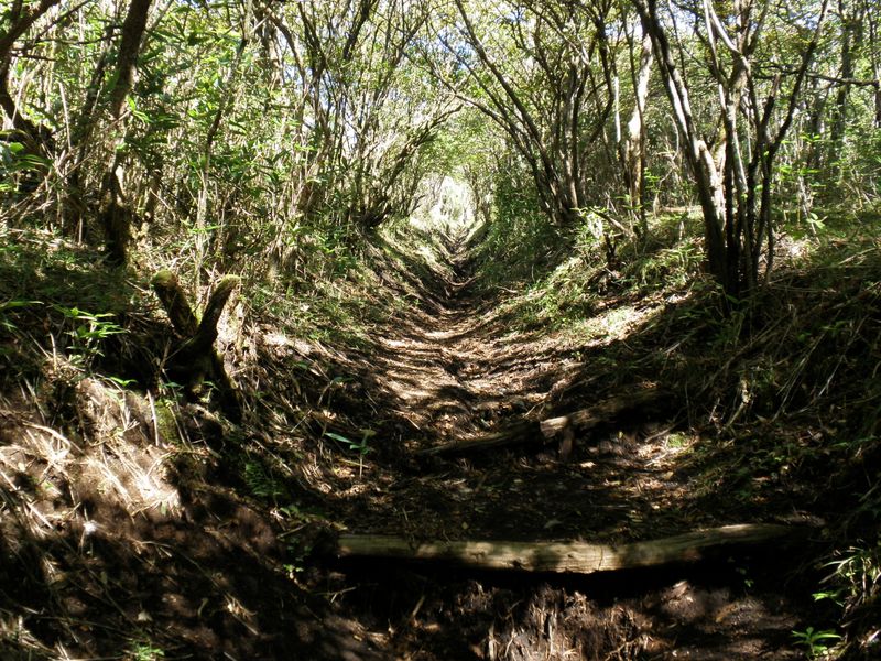えぐれた登山道