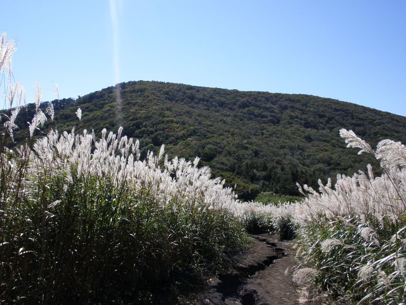 三国山を振り返る