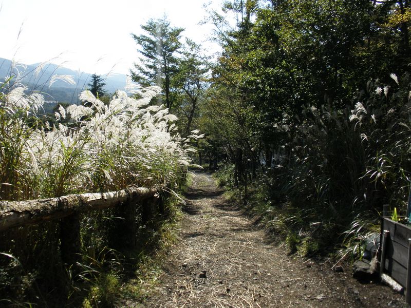 別荘地を通り抜ける