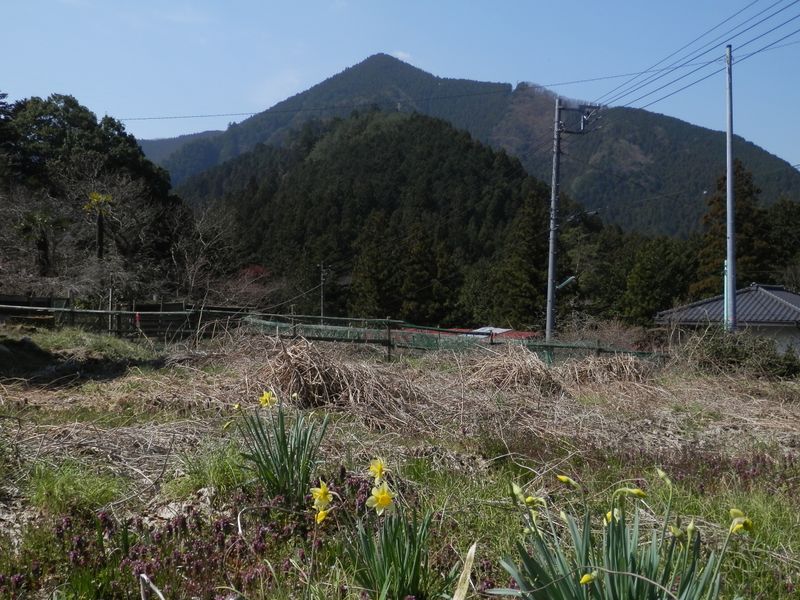 寸庭より鳩ノ巣城山を望む