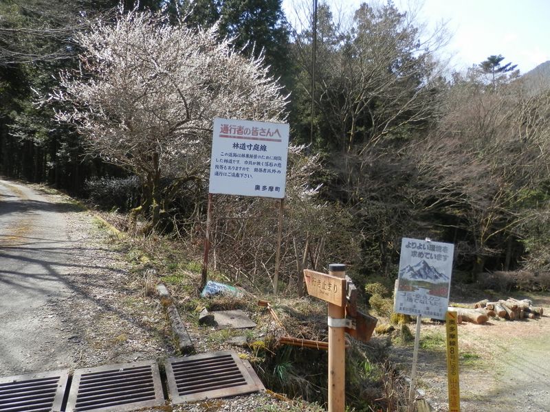 右手の細い道に入る