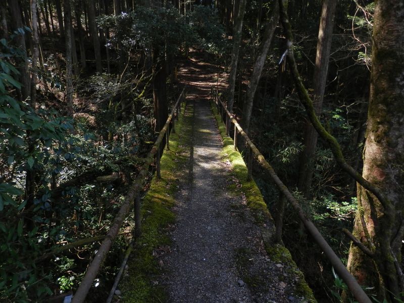 この橋の先から鉄五郎新道