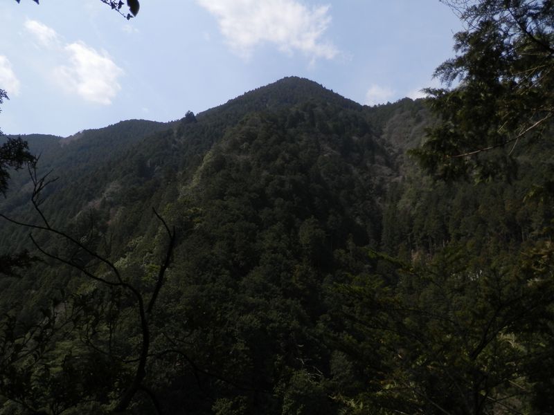 越沢を隔てて、鳩ノ巣城山