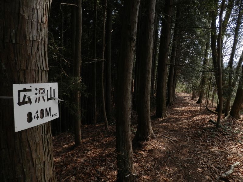 きつい登りを終えて広沢山
