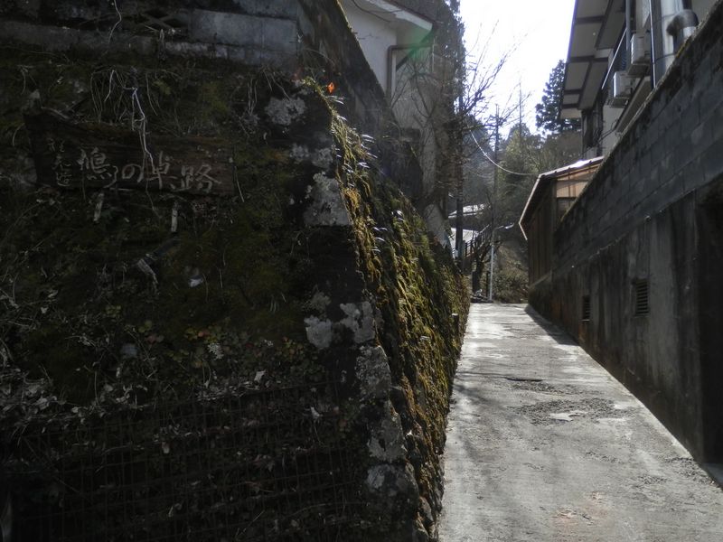 ここから裏参道