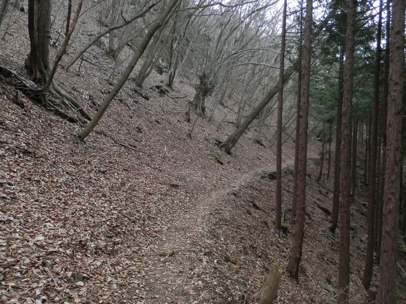 何度も、何度も繰り返される風景