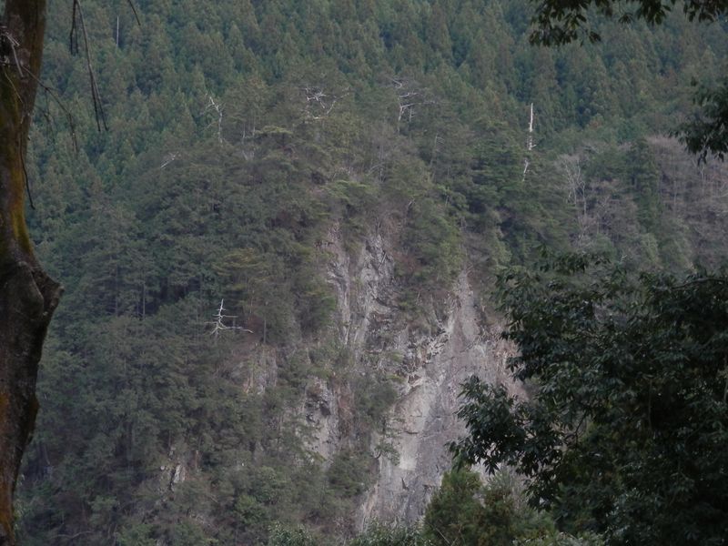 林道より、金毘羅山を望む