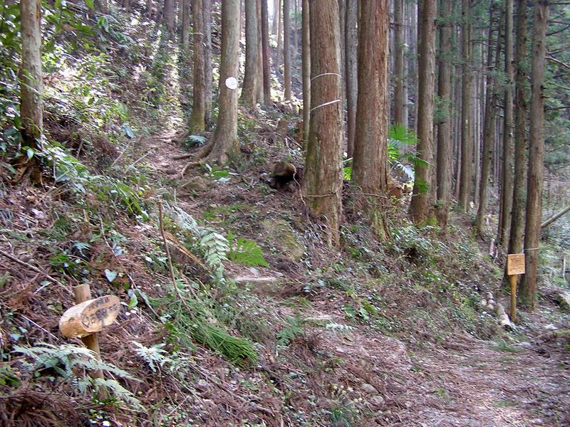 鉄五郎新道から大塚山 -- 鉄五郎新道入口