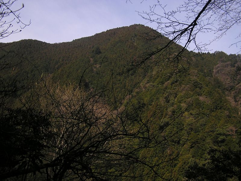 鉄五郎新道から大塚山 -- 越沢の対岸には城山がまだ大きく見える