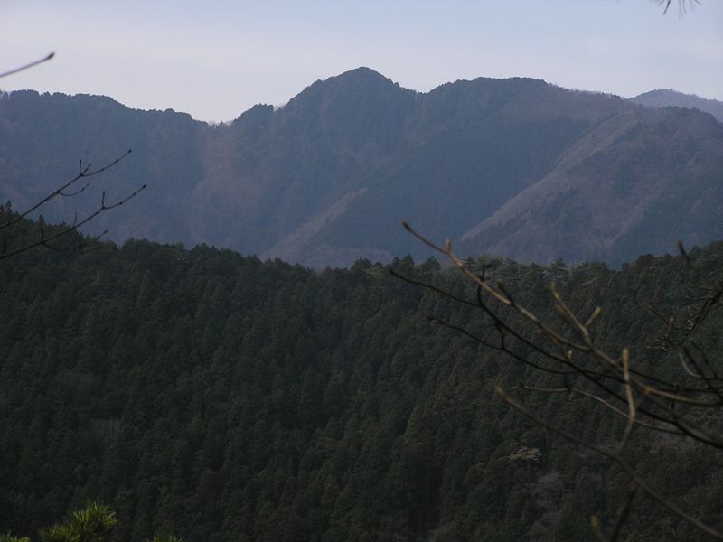 鉄五郎新道から大塚山 -- 鋸尾根を望む
