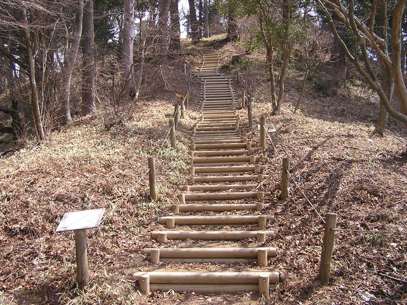 鉄五郎新道から大塚山 -- 富士峰園地の階段わきにカタクリが