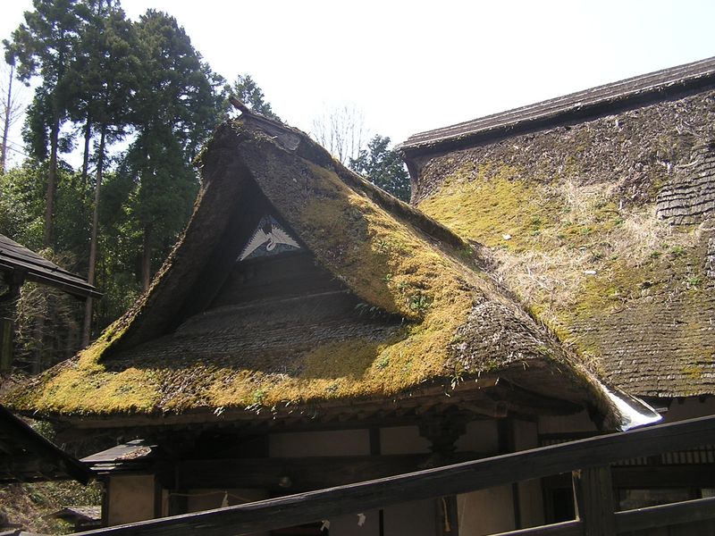 鉄五郎新道から大塚山 -- ある宿坊