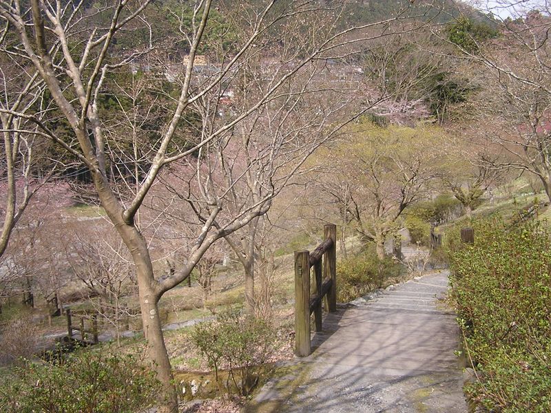 鉄五郎新道から大塚山 -- 御岳苑地を多摩川に下りる