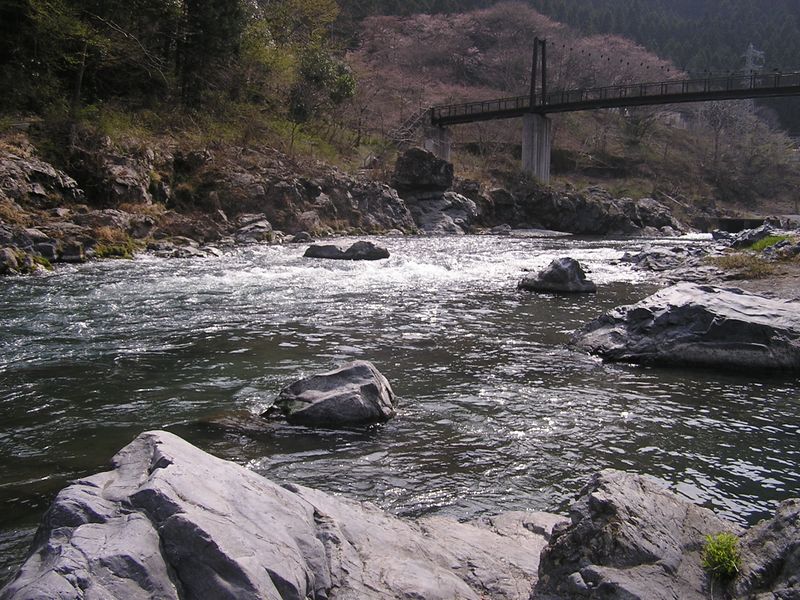 鉄五郎新道から大塚山 -- 岩の上で足を休める